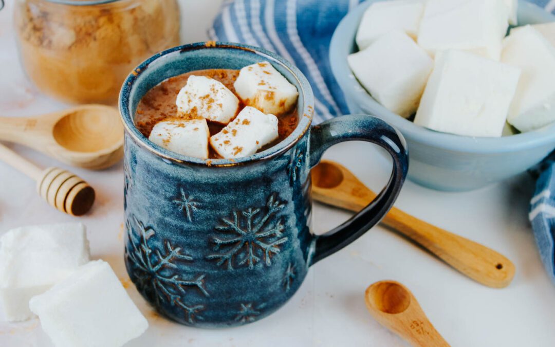 Healthy Hot Chocolate Recipe With Raw Milk