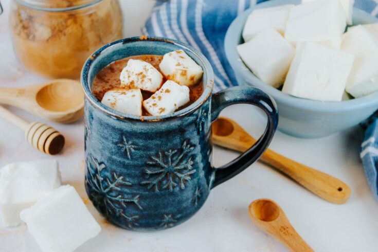 healthy hot chocolate recipe with raw milk in a blue snowflake cup