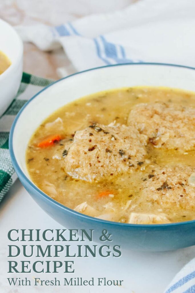 pinterest graphic showing a photo of a bowl of homemade soup