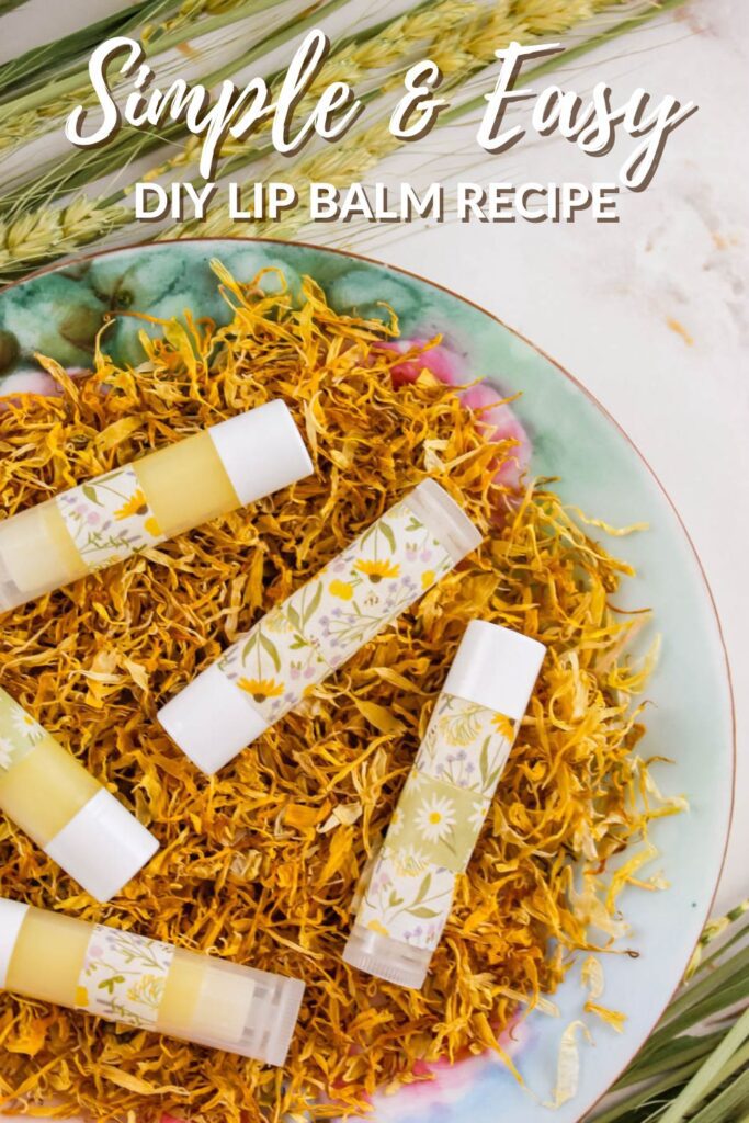 plate of herbal lip balm next to dried botanicals