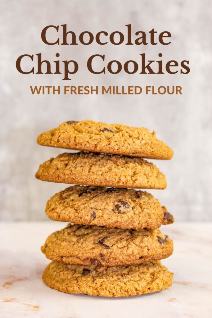 5 chocolate chip cookies stacked on top of each other