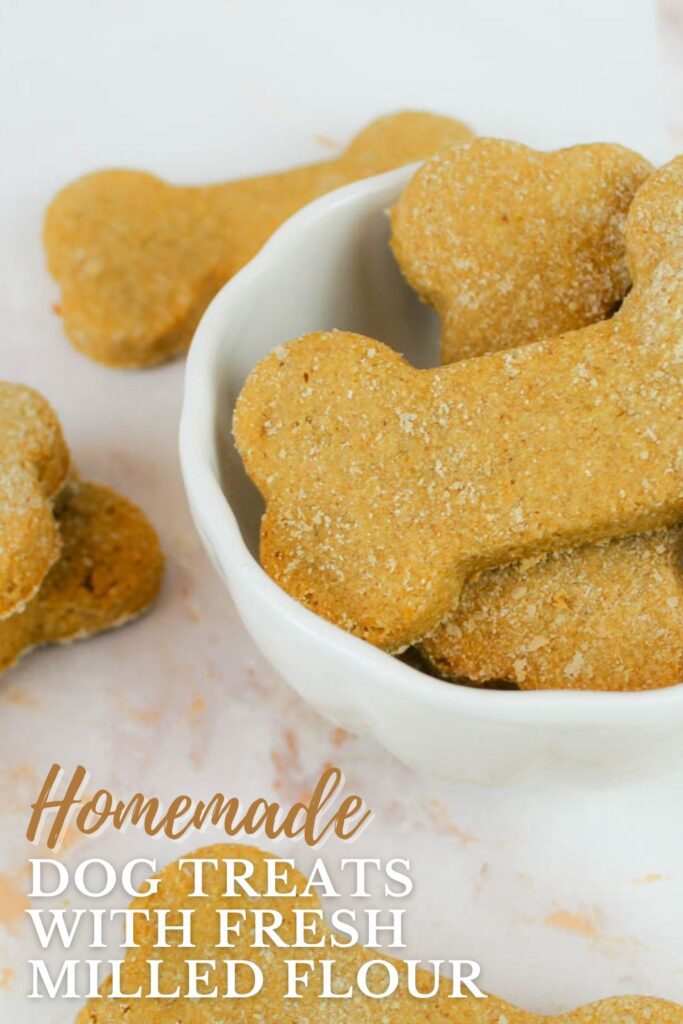 pinterest graphic displaying a bowl of diy dog treats