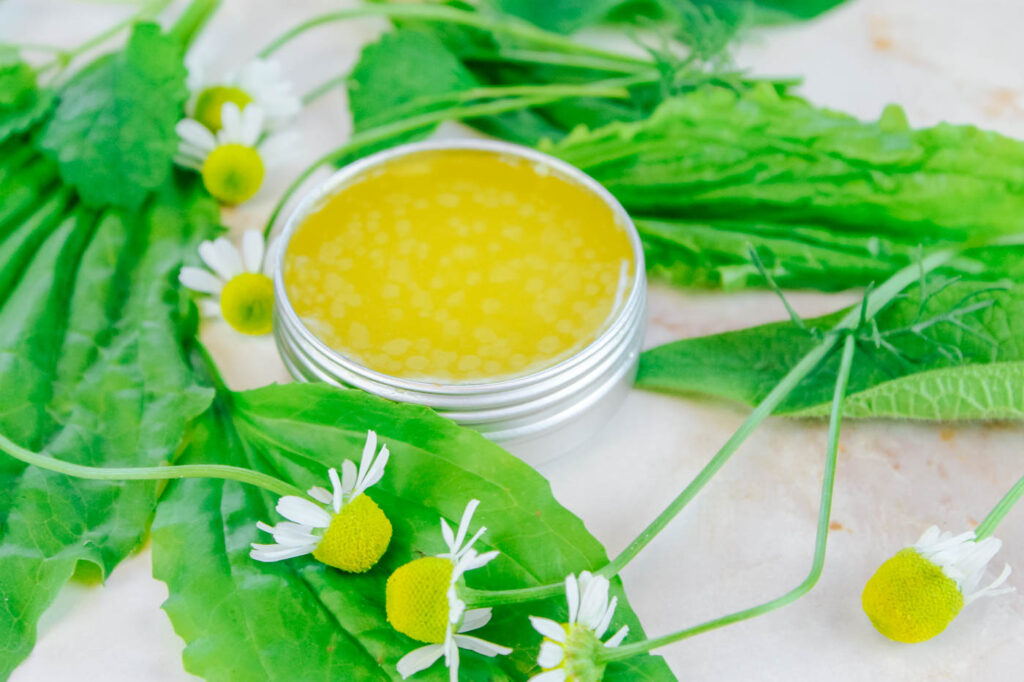 metal tin filled with homemade healing salve surrounded by fresh herbs