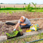 woman plants a fall garden in Ohio