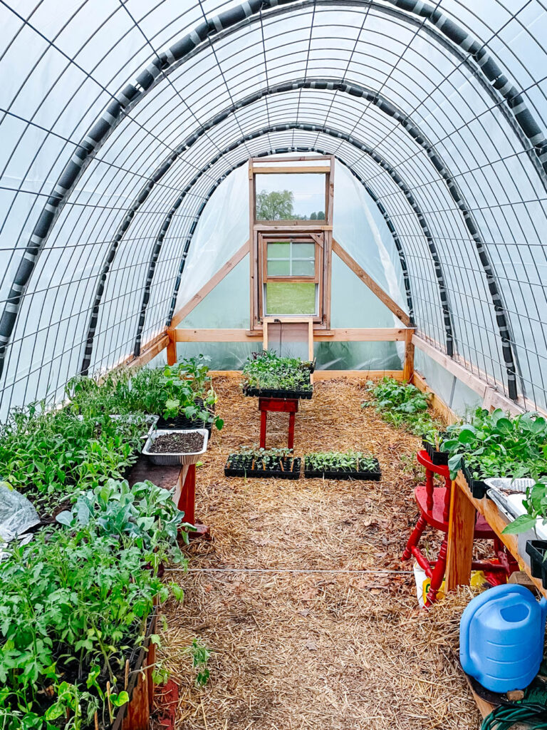 family greenhouse filled with plants while woman figures out what to plant in September
